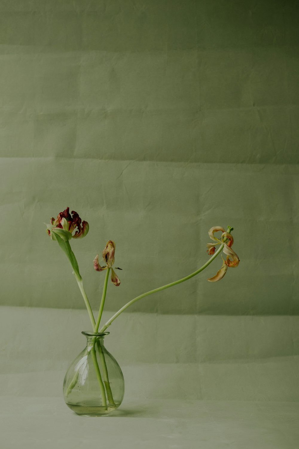 eine Glasvase gefüllt mit Blumen auf einem Tisch