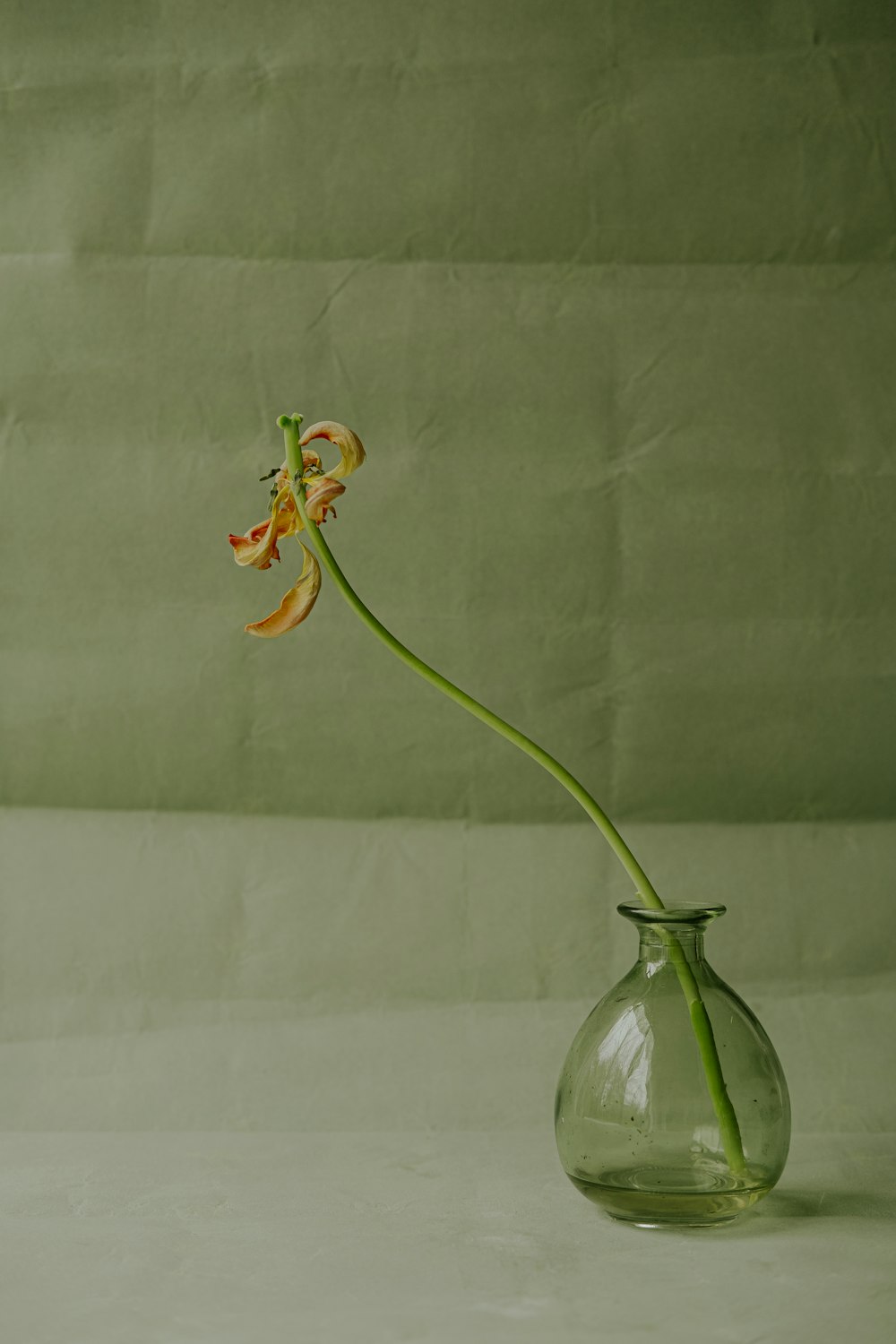 eine einzelne Blume in einer Glasvase auf einem Tisch