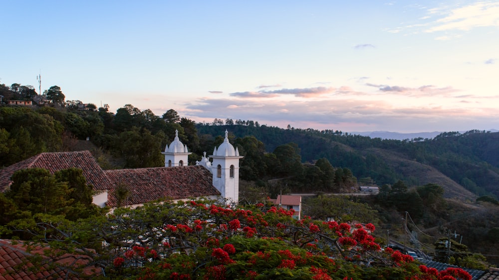 a white church on a hill with red flowers in the foreground