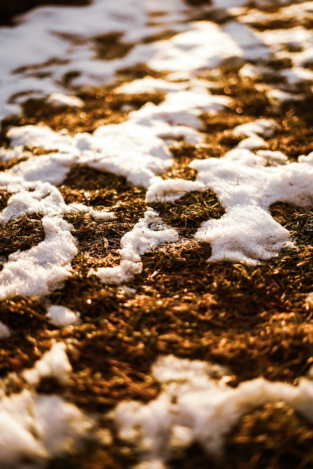 a close up of snow on the ground