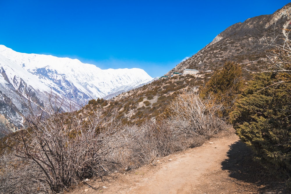 a dirt road with a mountain in the background