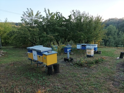 Several brightly colored beehives are positioned in a grassy area surrounded by lush, green trees. The hives are predominantly blue and yellow. The background features a wooded area with dense foliage, implying a rural or natural setting.