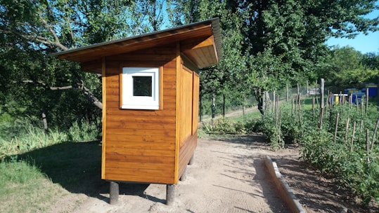 A wooden shed with a slanted roof and a small white-framed window is set in a garden area. The garden has rows of plants supported by stakes and is bordered by lush greenery and trees. The area is well-lit by bright sunlight.