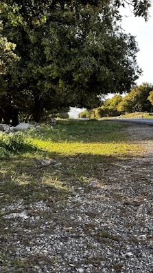 A peaceful outdoor scene where Tracey is coaching a client amidst nature’s calm.