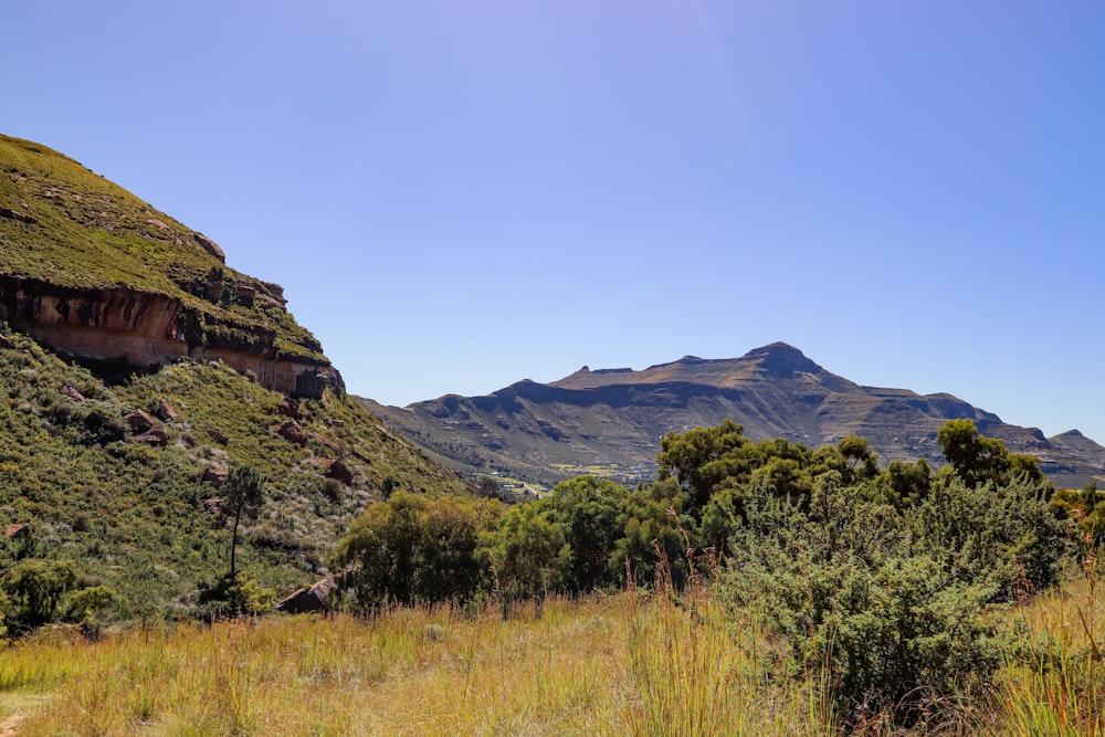 a grassy field with mountains in the background