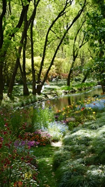 a lush green forest filled with lots of flowers
