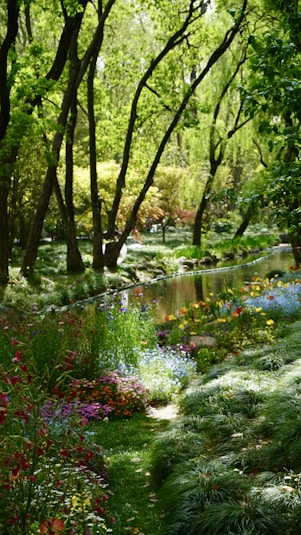 a lush green forest filled with lots of flowers