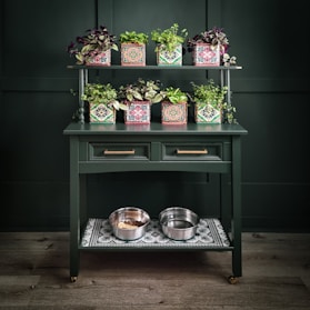 a green table topped with potted plants and bowls of food