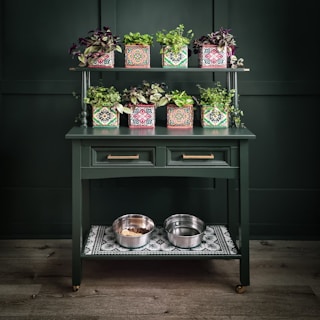 a green table topped with potted plants and bowls of food