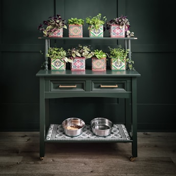a green table topped with potted plants and bowls of food