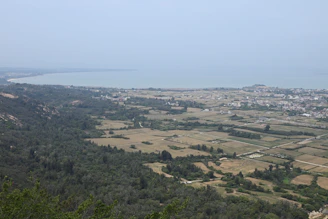 A serene view of Madeira's agricultural coastline under a clear sky, highlighting lush green fields meeting the ocean.