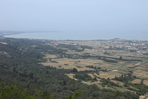 A serene view of Madeira's agricultural coastline under a clear sky, highlighting lush green fields meeting the ocean.
