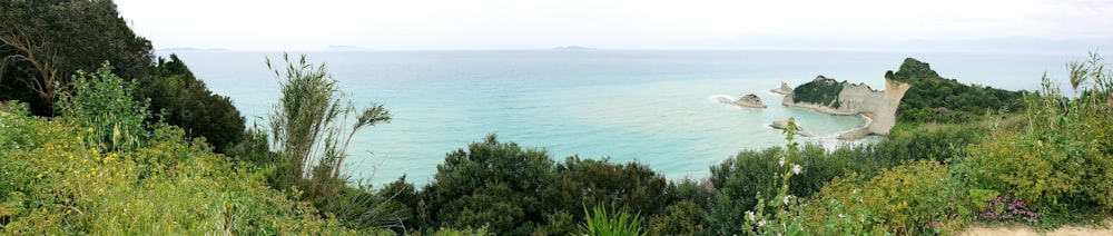 a large body of water surrounded by trees