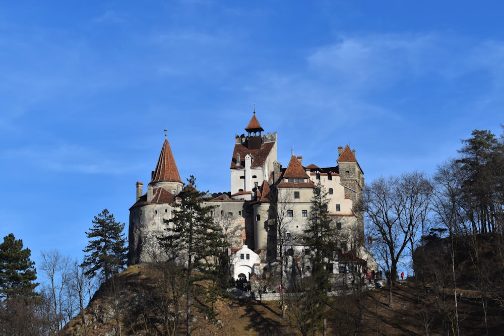 a castle on top of a hill surrounded by trees