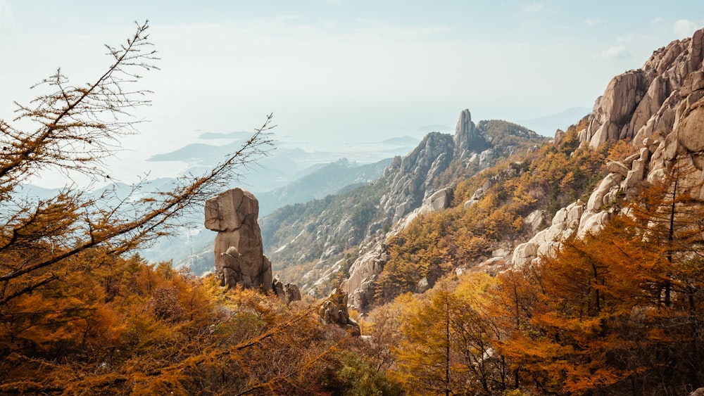 a large rock formation in the middle of a forest