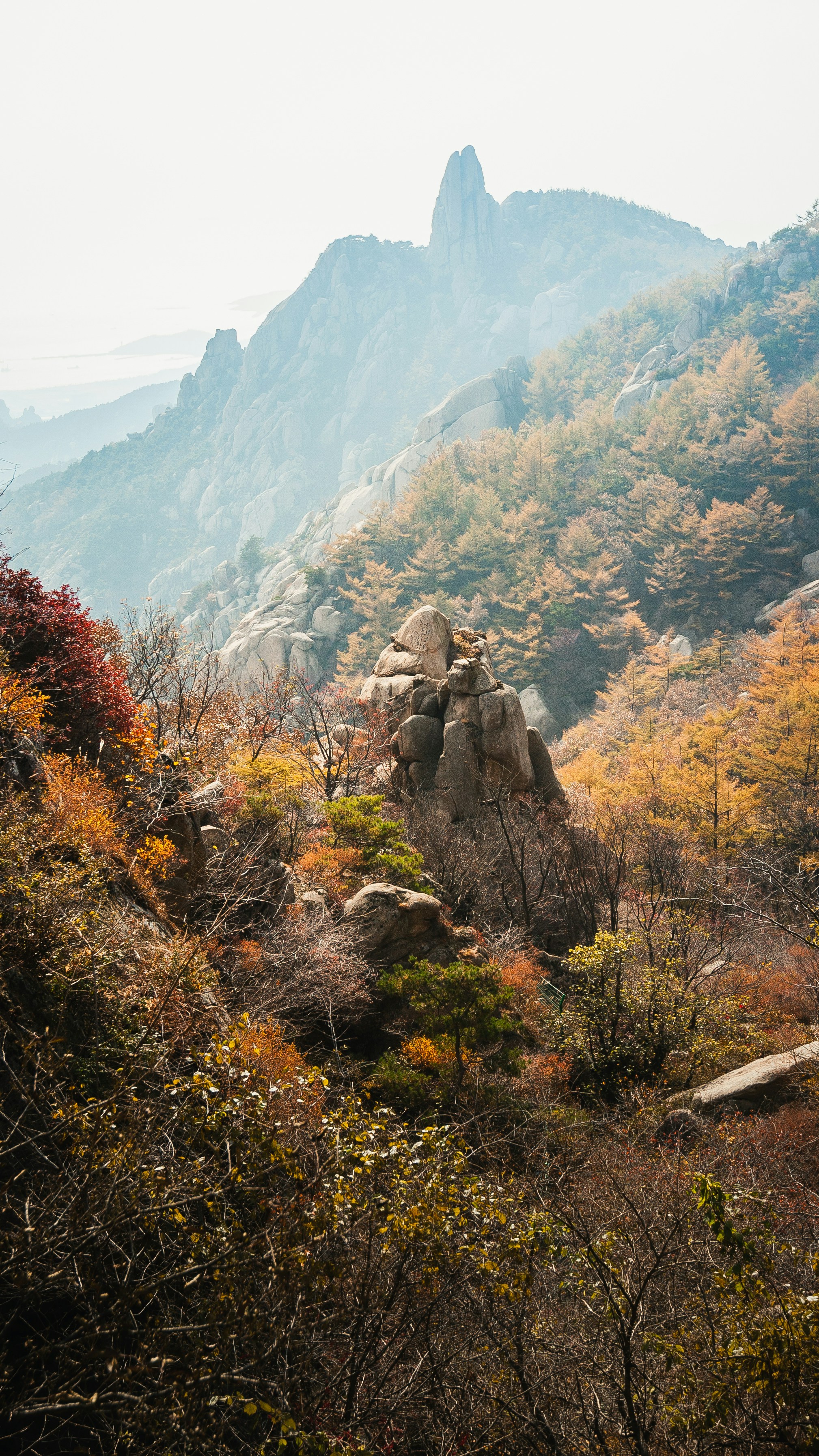 前景に木々が生い茂る岩山の眺め