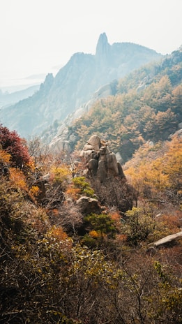 A serene mountain landscape in Canada during autumn with colorful foliage.