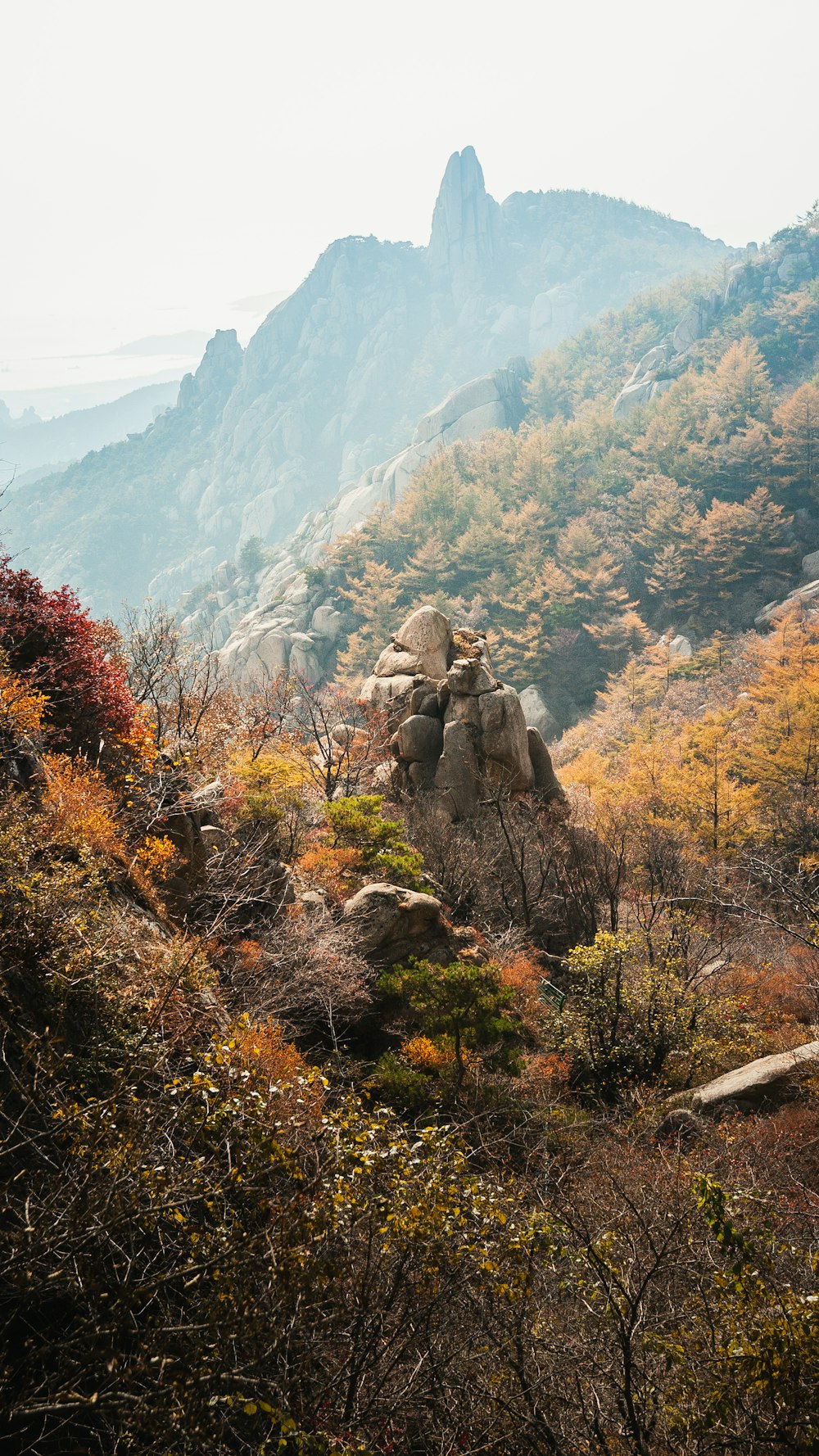 a view of a rocky mountain with trees in the foreground