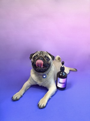 Kit Higiene Completo para pets