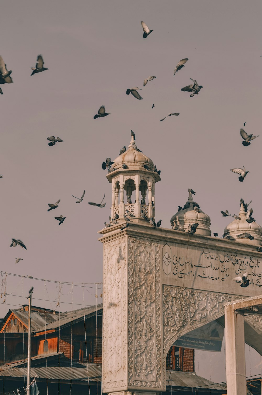 a flock of birds flying over a building