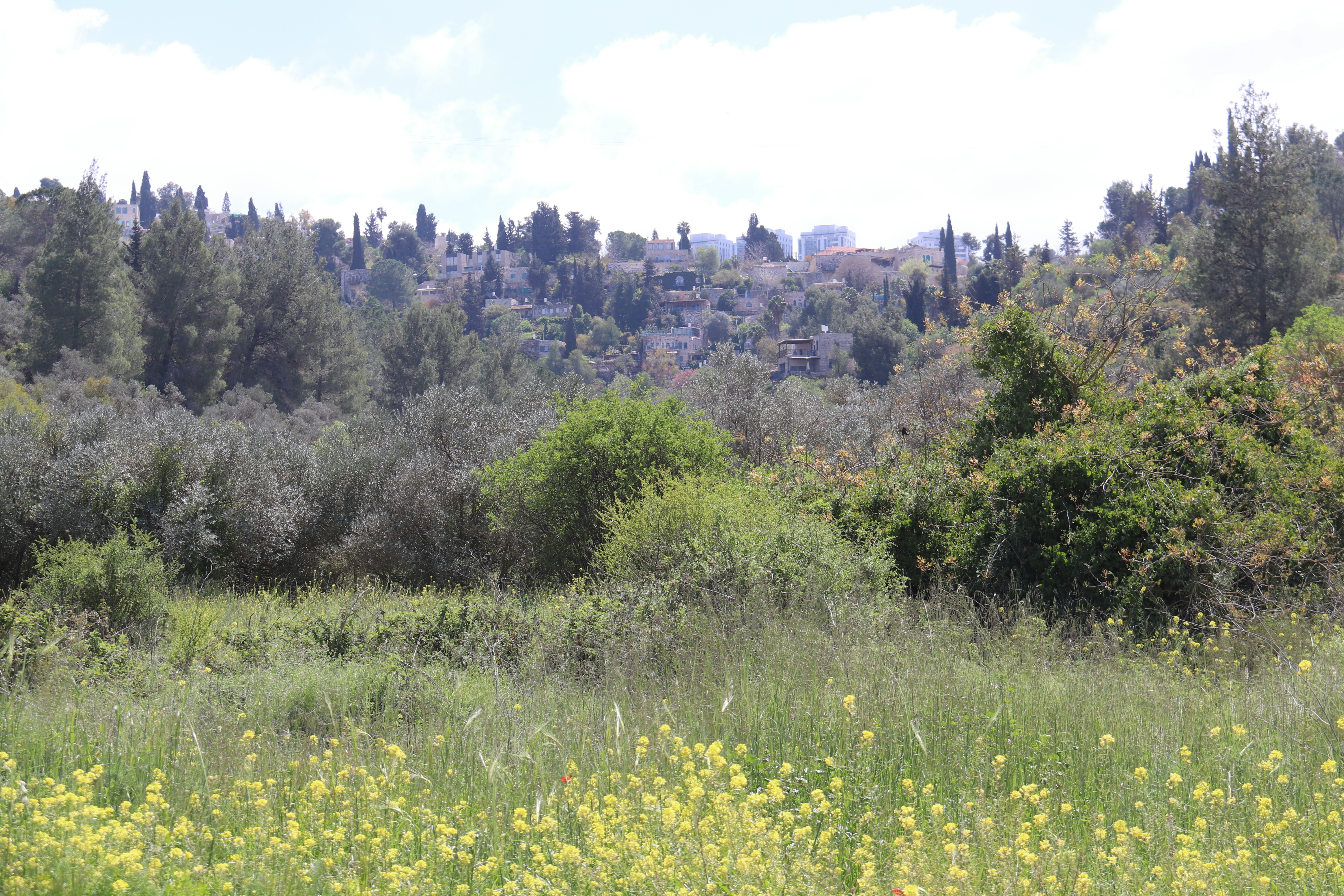 Photo by shalevcohen