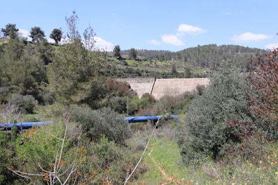 Engineers inspecting a potential water source site surrounded by lush greenery.