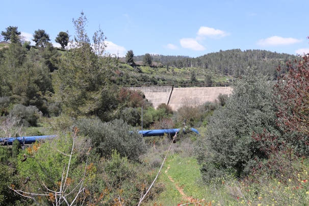 A scenic landscape with dense greenery, including shrubs and trees, surrounding a concrete dam structure in the background. A blue pipe runs across the foreground, cutting through the natural vegetation. The scene is set on a clear day with a bright blue sky and a few clouds visible.