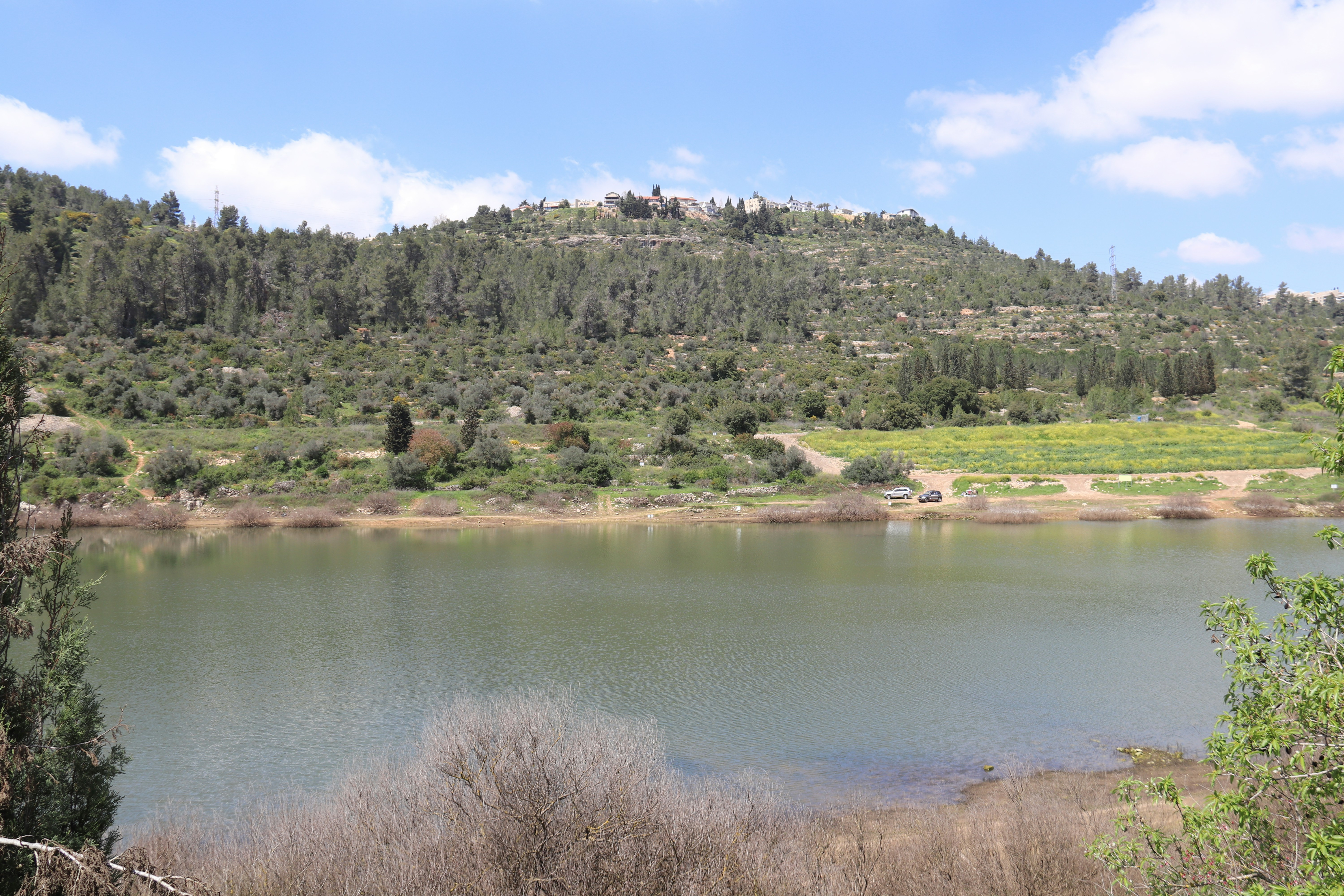 A large body of water surrounded by a lush green hillside