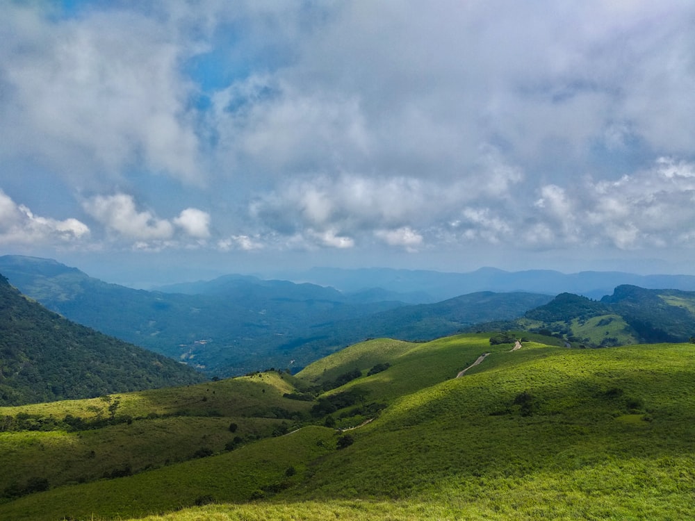 a lush green hillside covered in lush green grass