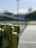 A metal basket filled with yellow tennis balls is positioned on an outdoor tennis court, with a blurred background of the net and greenery.
