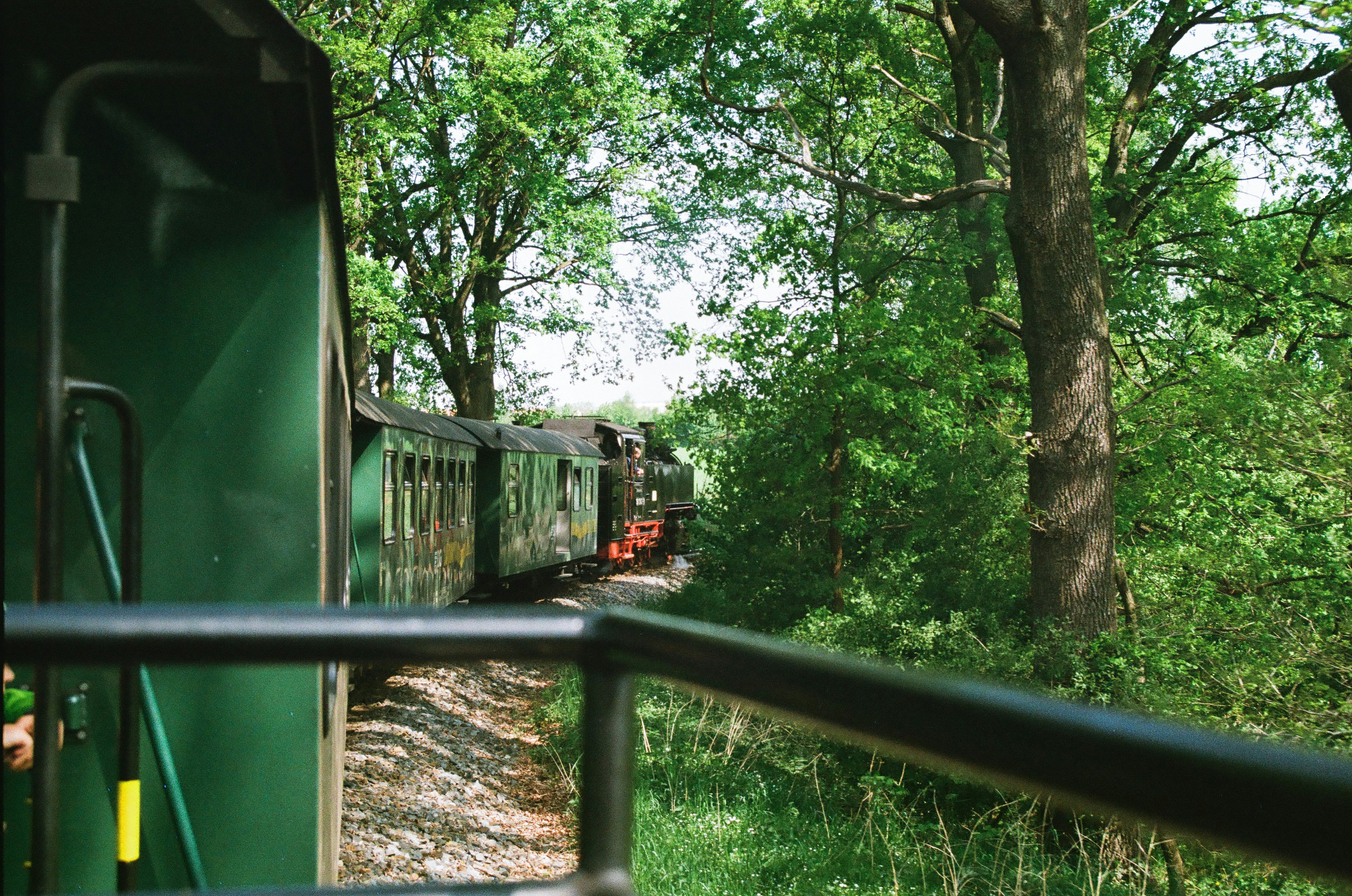 a train traveling through a lush green forest