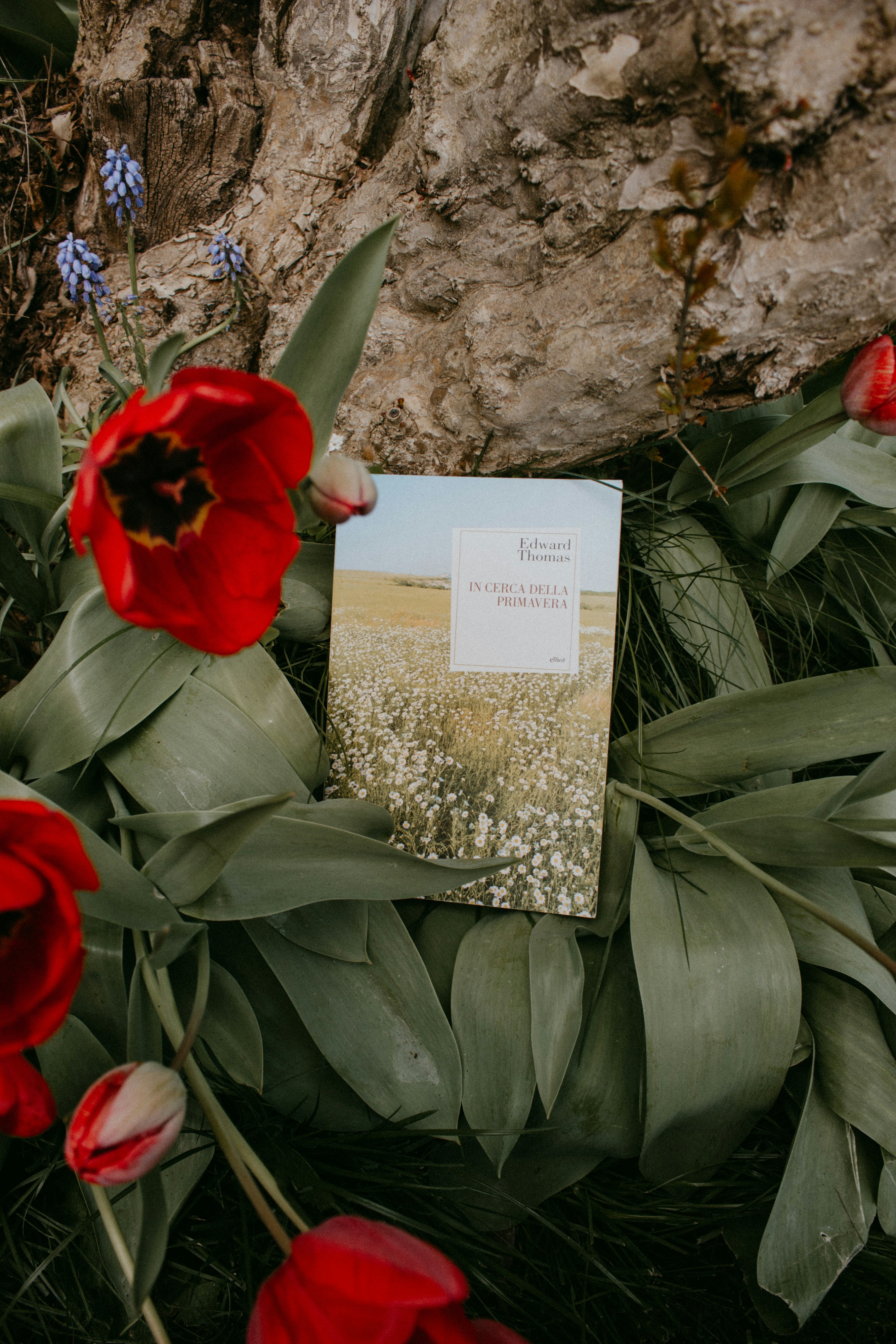 Natural Relief Guide