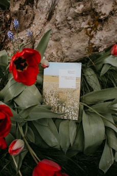 A book with a picturesque cover depicting a field of flowers rests on lush green leaves. Surrounding the book are vibrant red tulips and some small purple wildflowers. The backdrop includes a rough-textured tree bark.