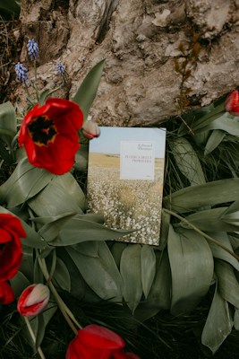 A book with a picturesque cover depicting a field of flowers rests on lush green leaves. Surrounding the book are vibrant red tulips and some small purple wildflowers. The backdrop includes a rough-textured tree bark.