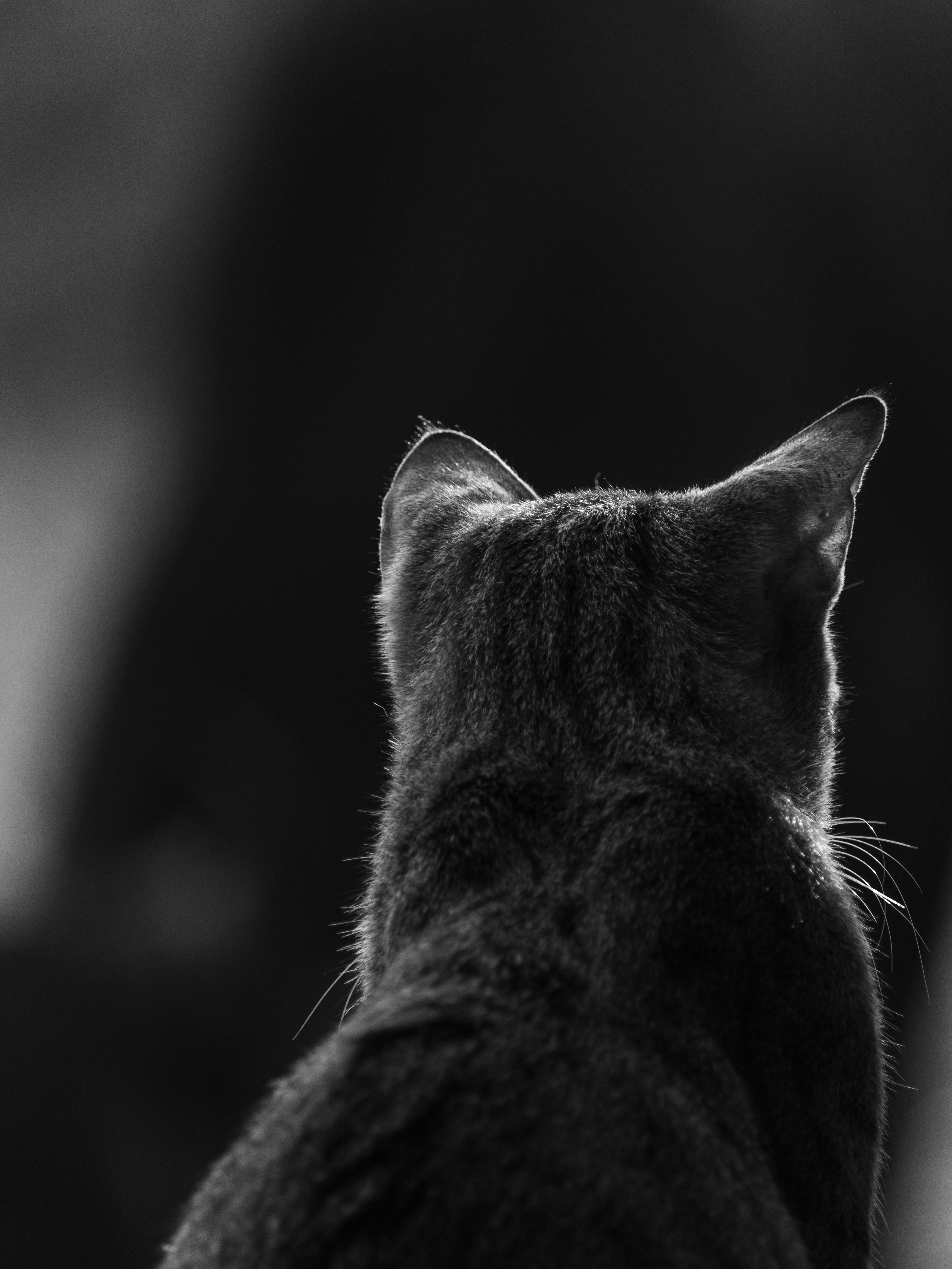 Photo by mariyan_rajesh