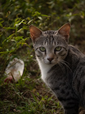 Photo 1681309148577 Fc356dcb1c86?q=85&w=400&h=400&fit=crop