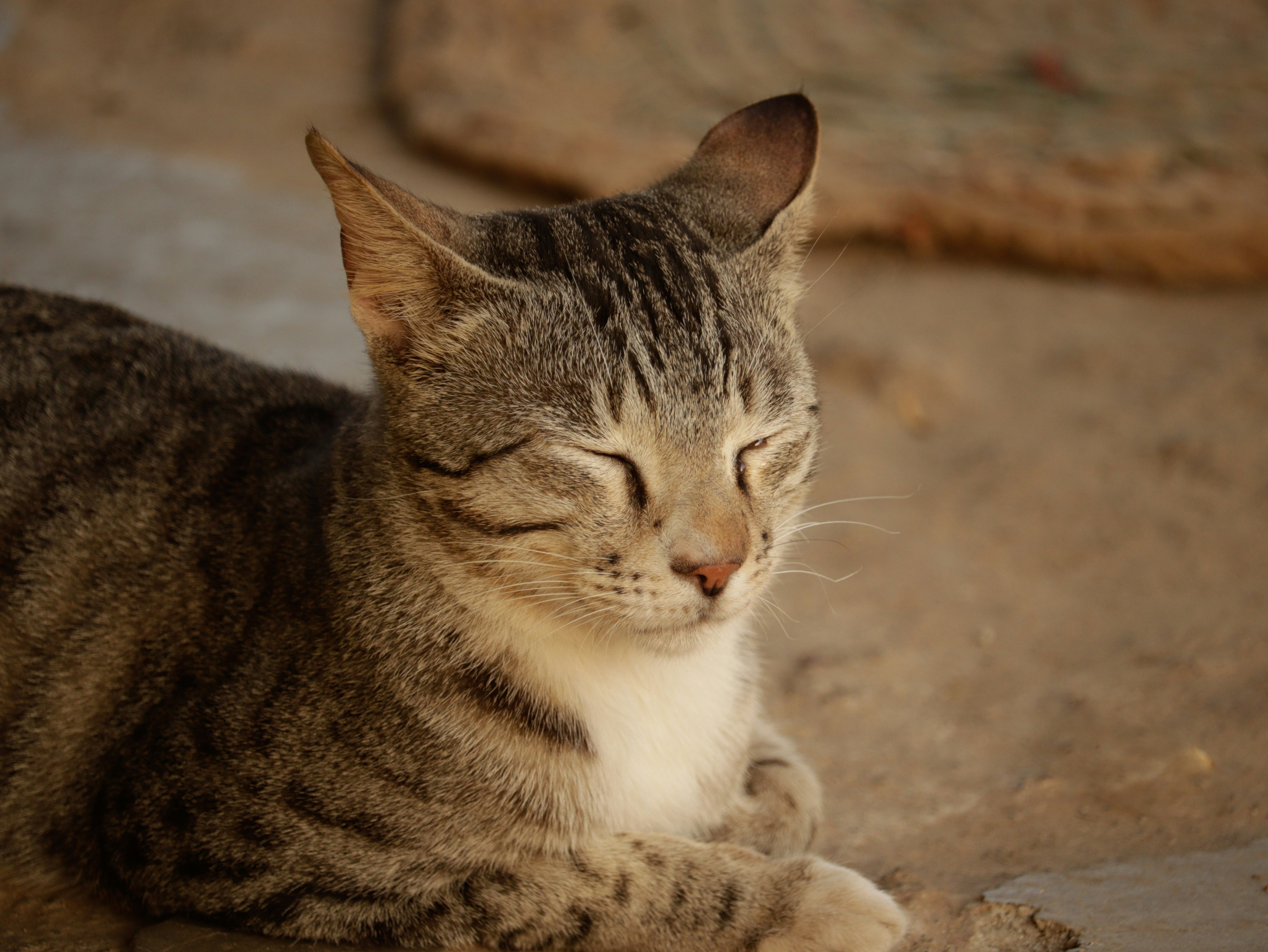 Photo by mariyan_rajesh