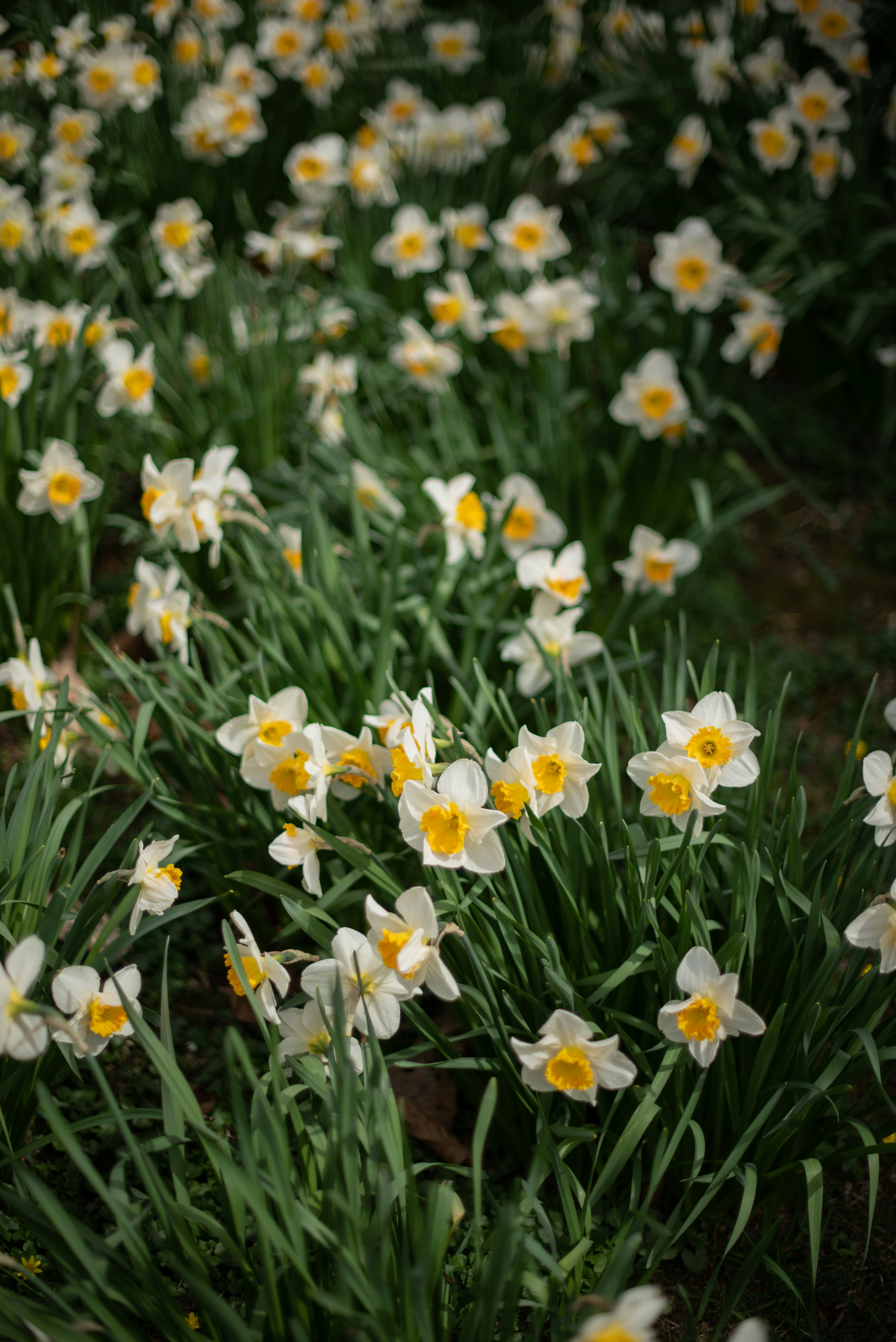 Photo by albulenapanduri