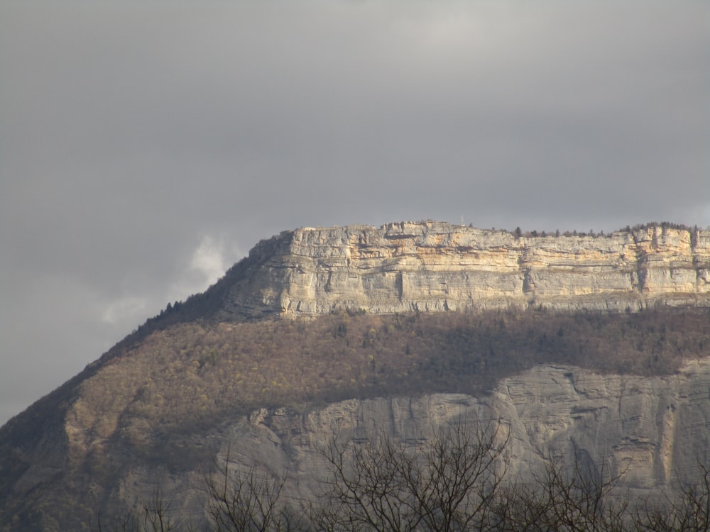 a very tall mountain with some trees on top of it