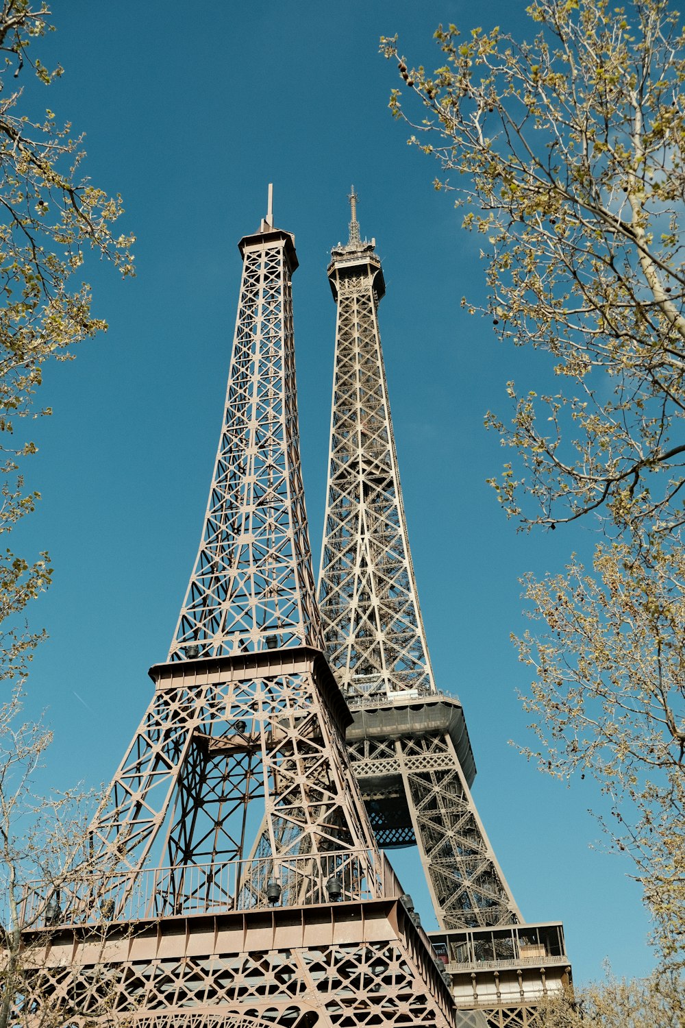 the eiffel tower towering over the city of paris