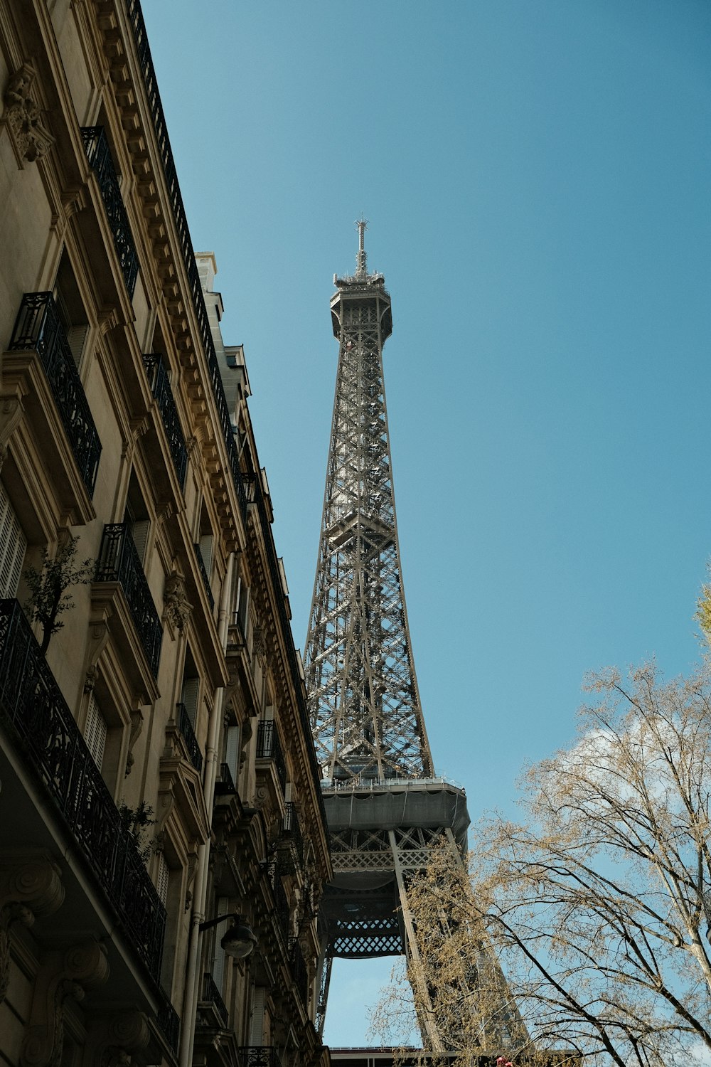 the eiffel tower towering over the city of paris