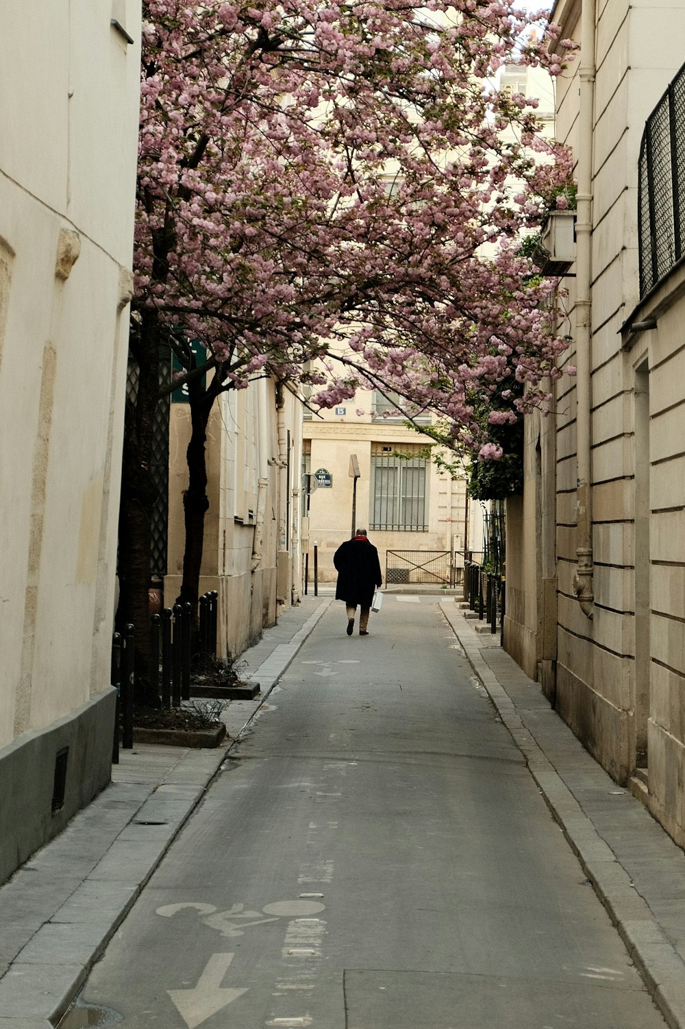 a person walking down a street under a tree