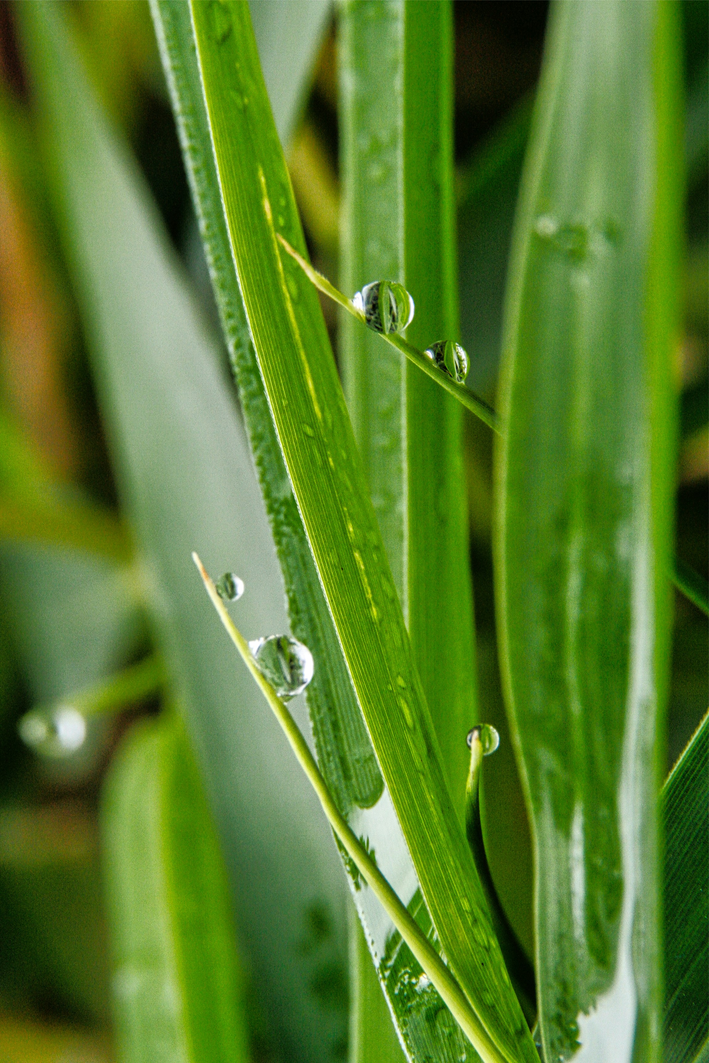 Photo by thomaskinto