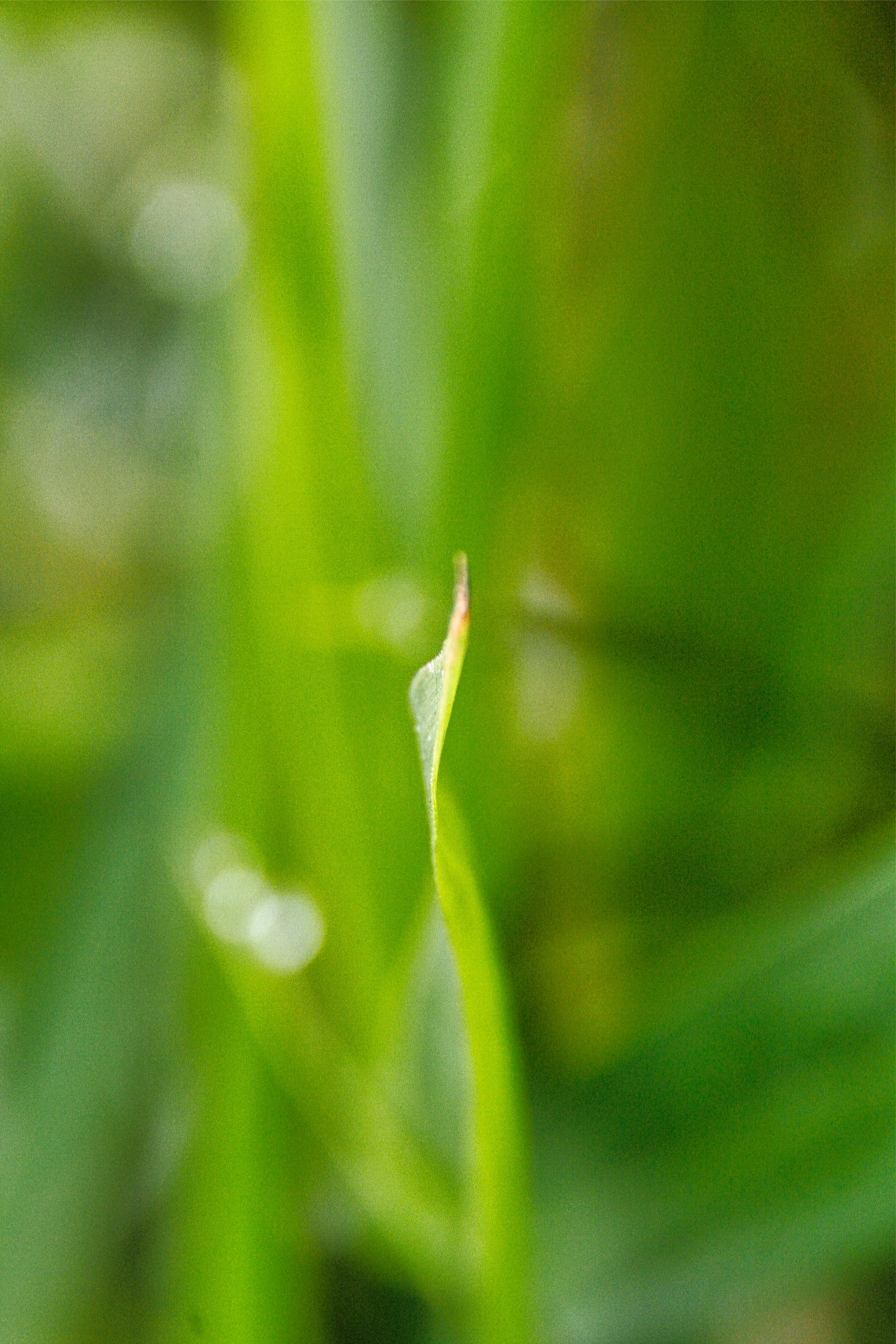 Photo by thomaskinto