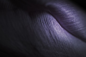 A close-up photo with purple lighting highlighting textured surfaces.