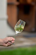 Close-up of a wine glass held by a player on a pickleball court surrounded by grapevines.