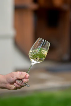 Close-up of a wine glass held by a player on a pickleball court surrounded by grapevines.