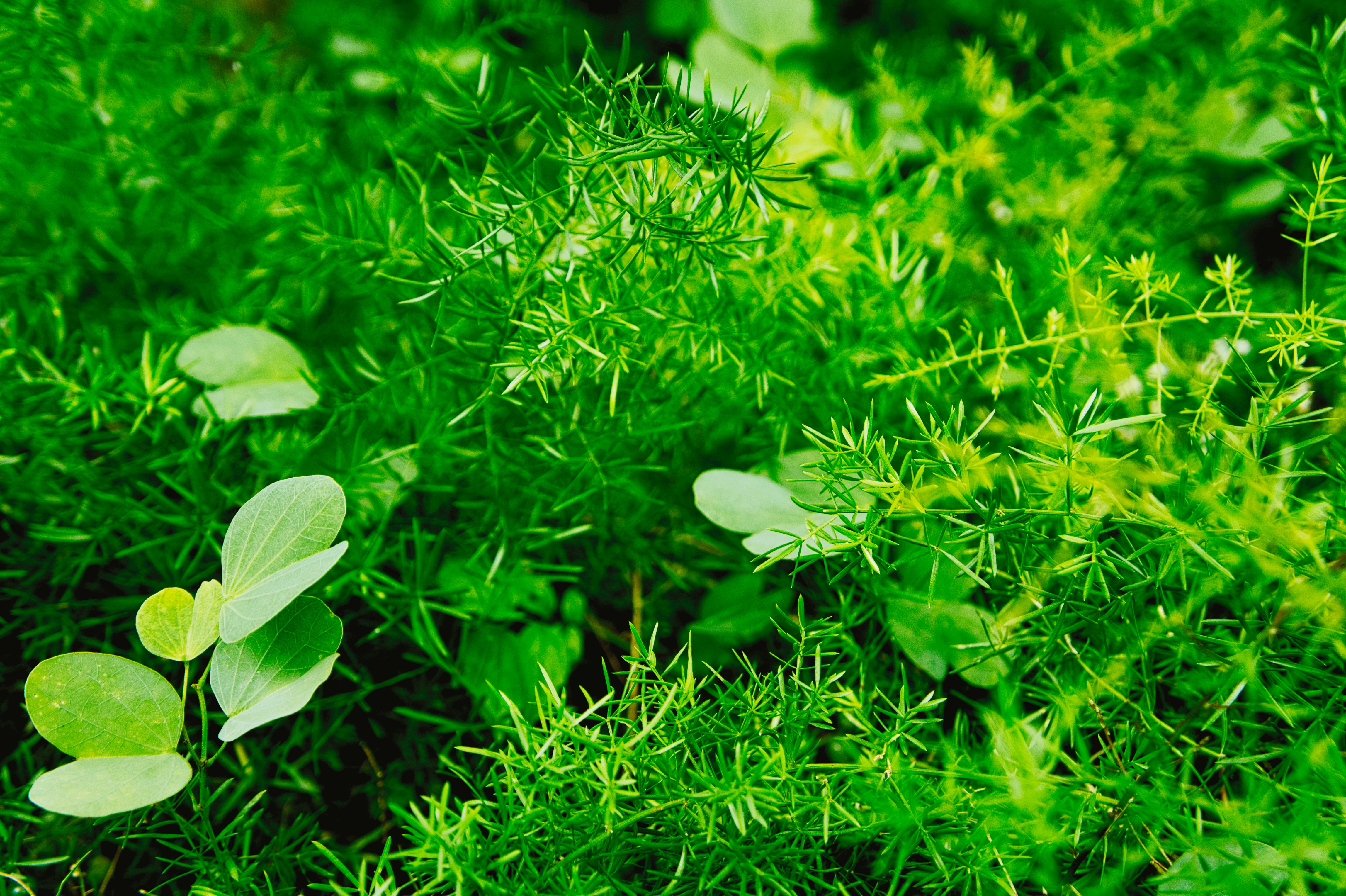 Photo by thomaskinto