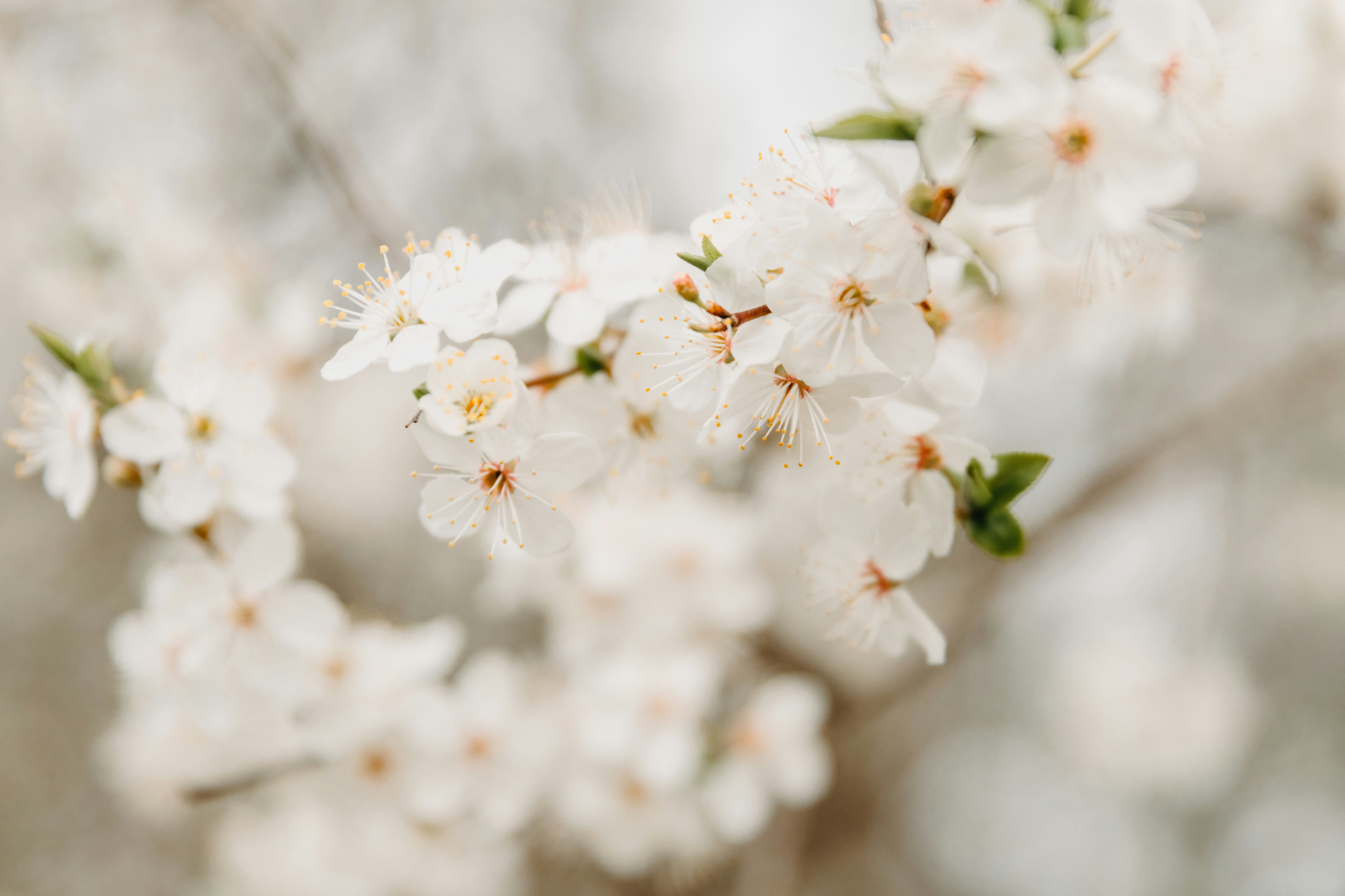 Photo by anitaaustvika