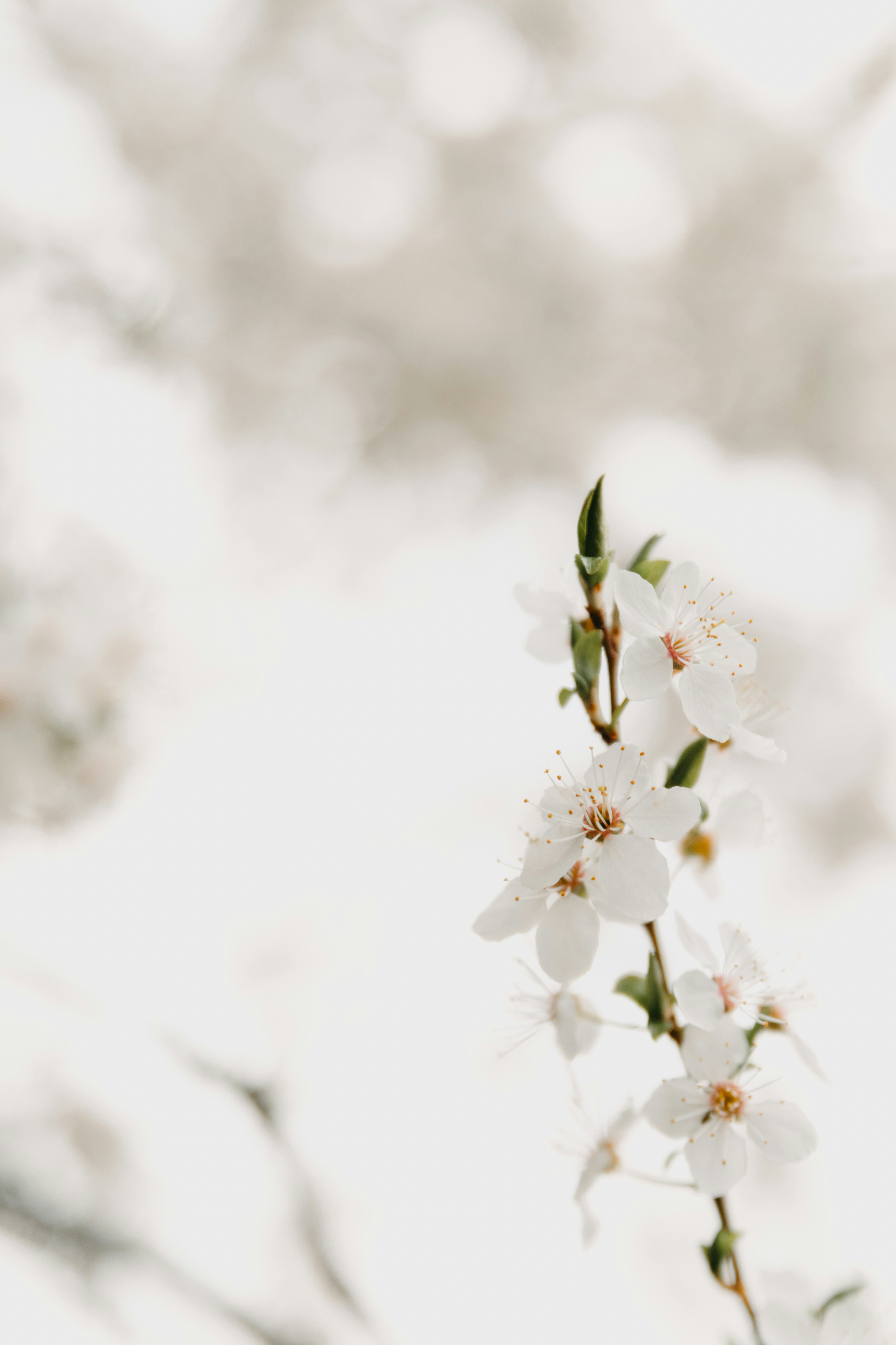 Photo by anitaaustvika